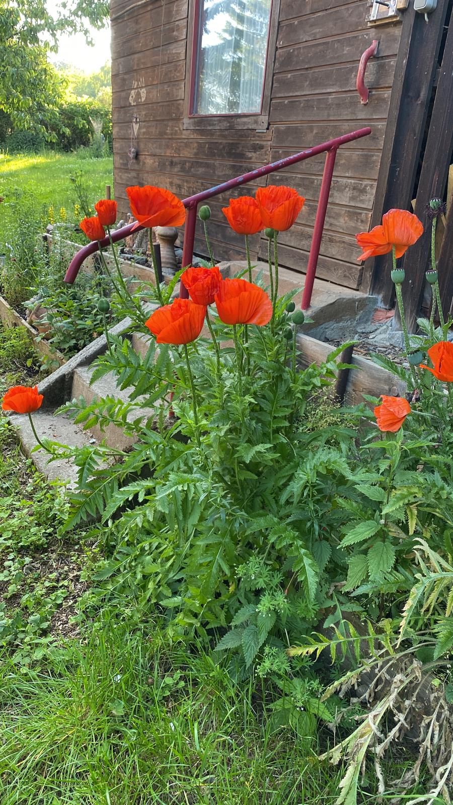 WhatsApp%20Image%202025 06-15%20at%2021.23.43.jpeg